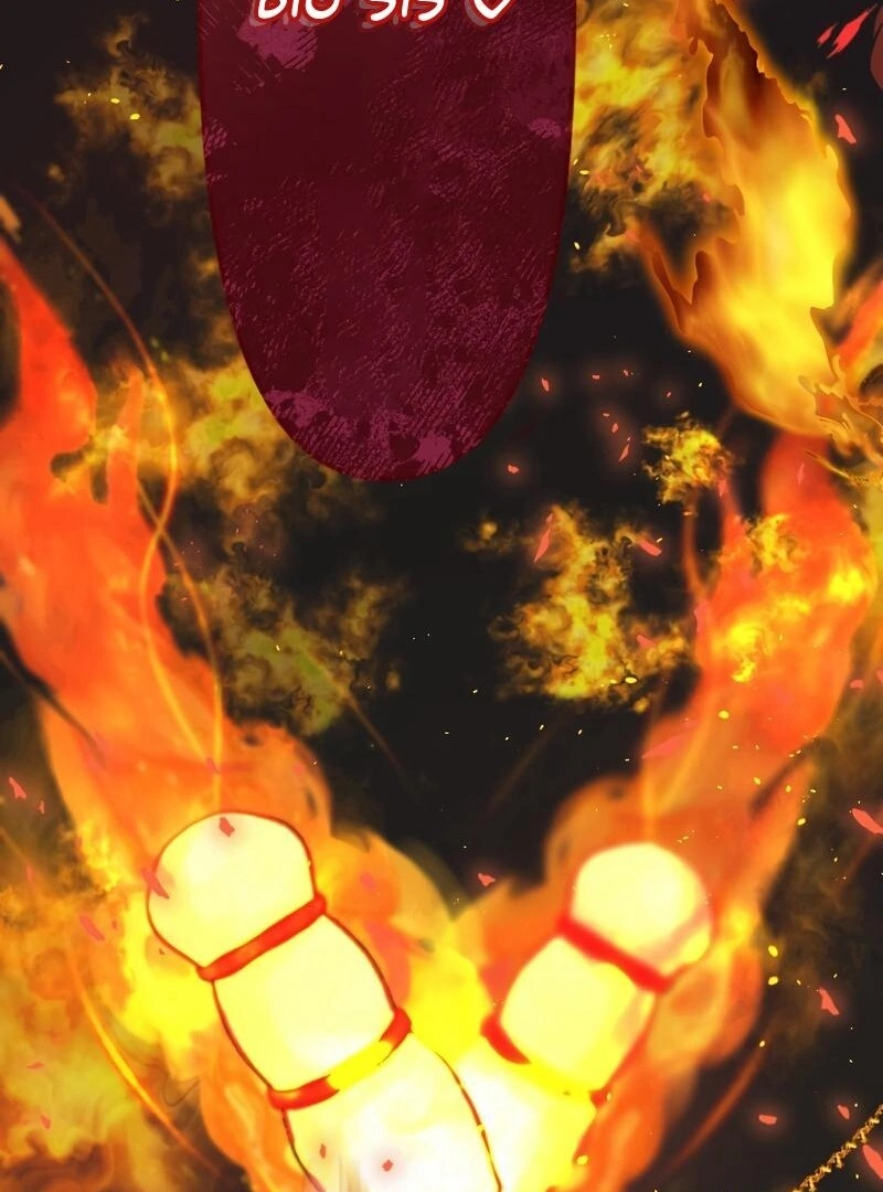 67008494 800 1080 144902